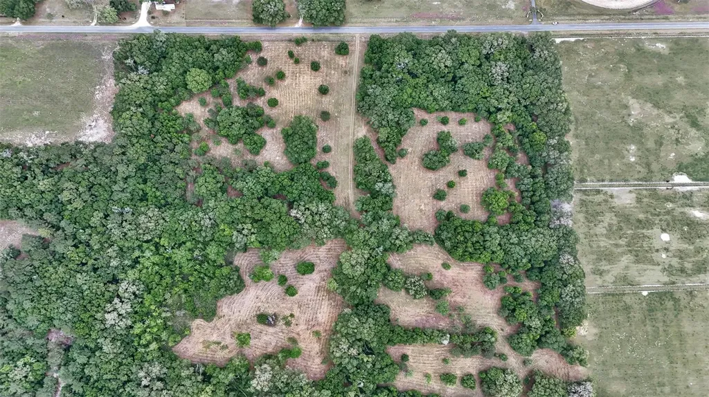 650 NE 200th Avenue Williston FL 32696