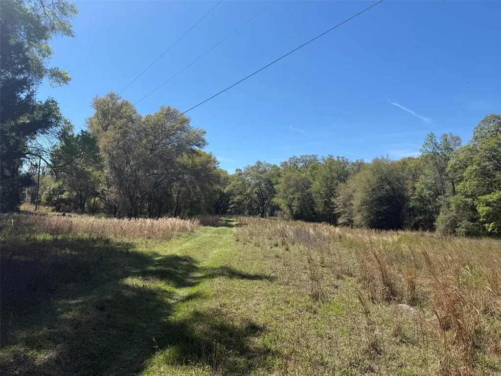 650 NE 200th Avenue Williston FL 32696