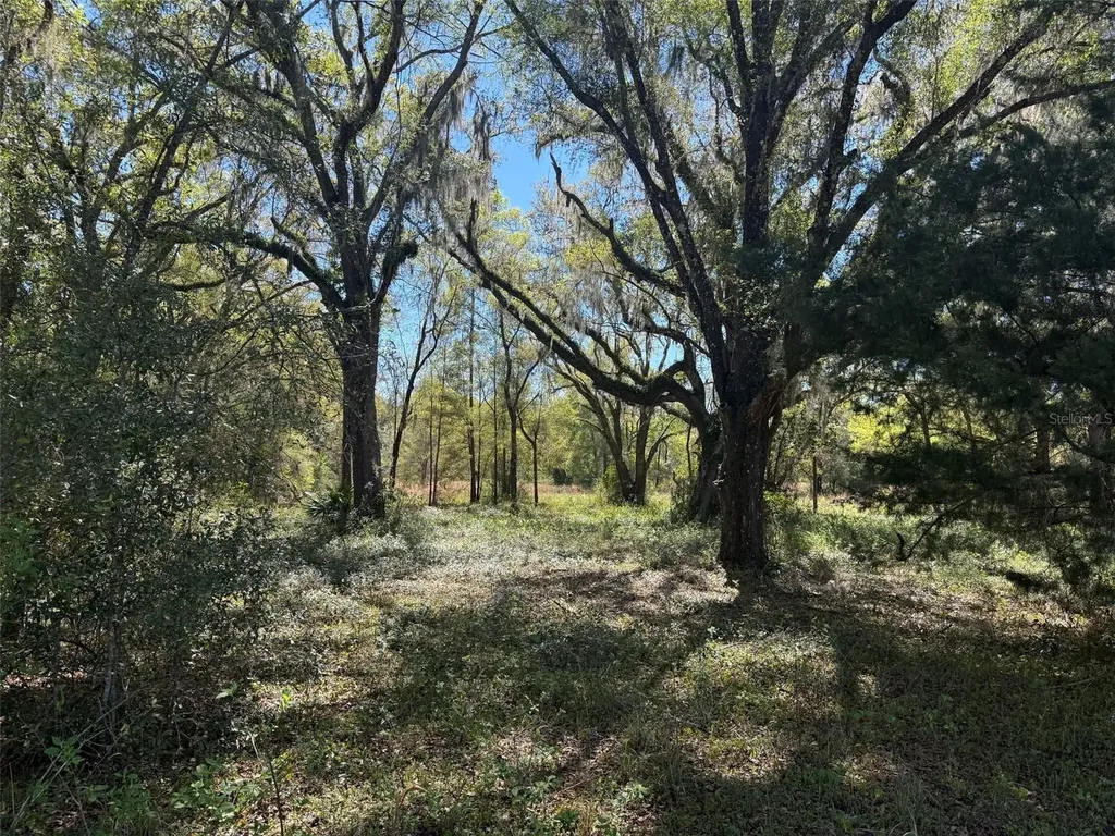 650 NE 200th Avenue Williston FL 32696