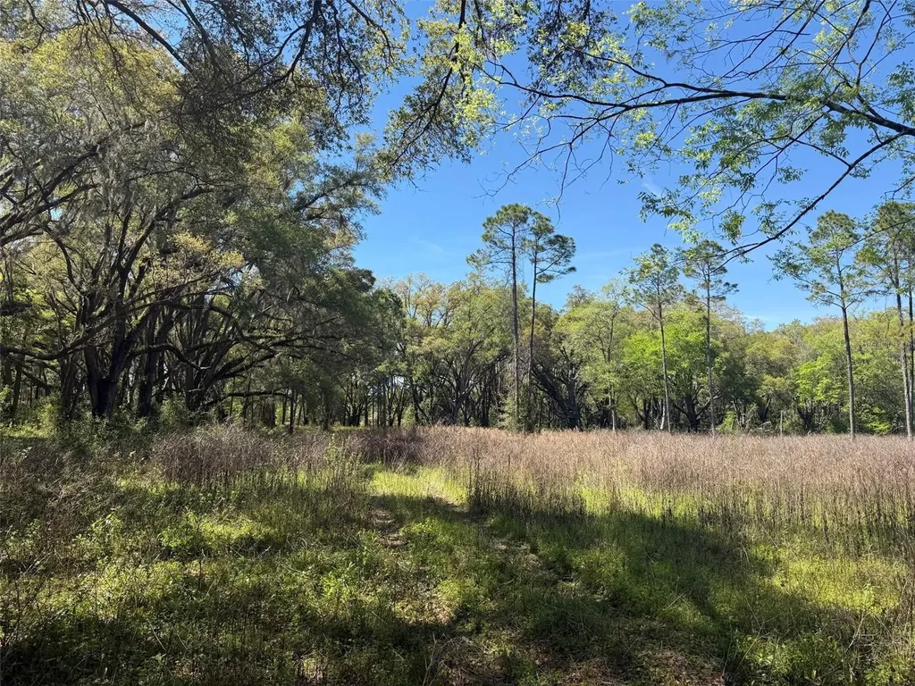 650 NE 200th Avenue Williston FL 32696
