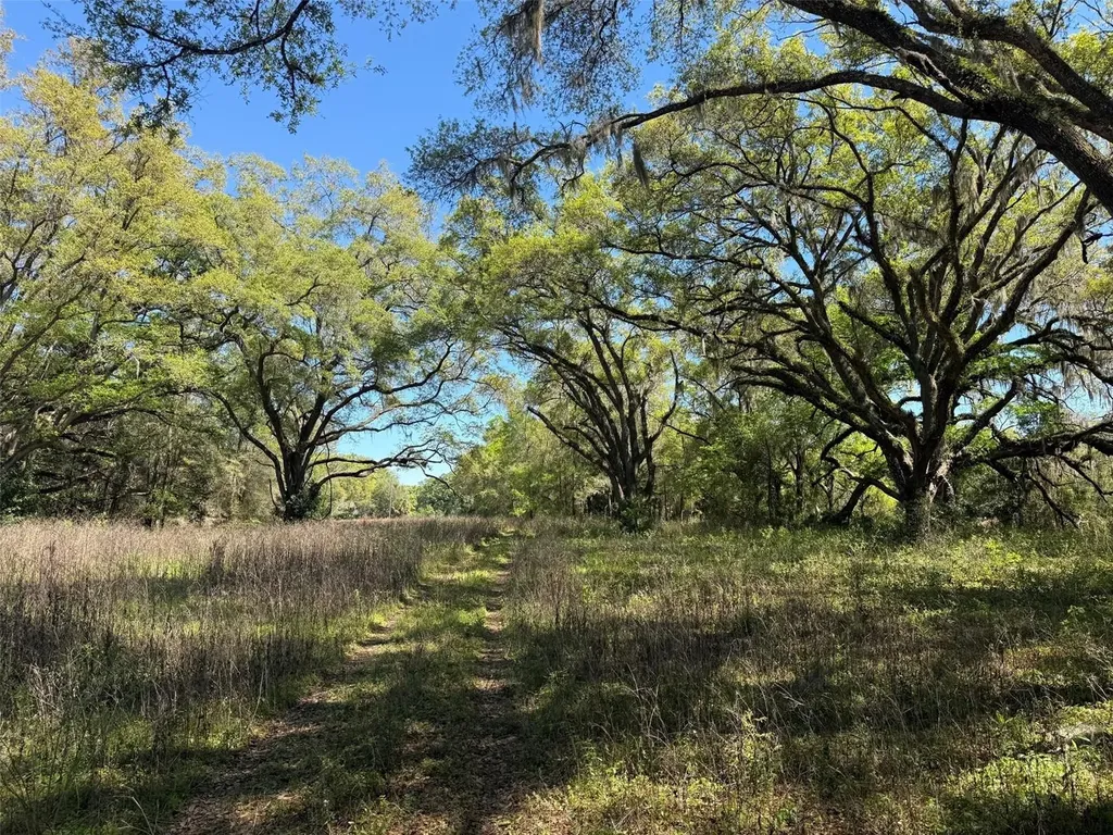 650 NE 200th Avenue Williston FL 32696