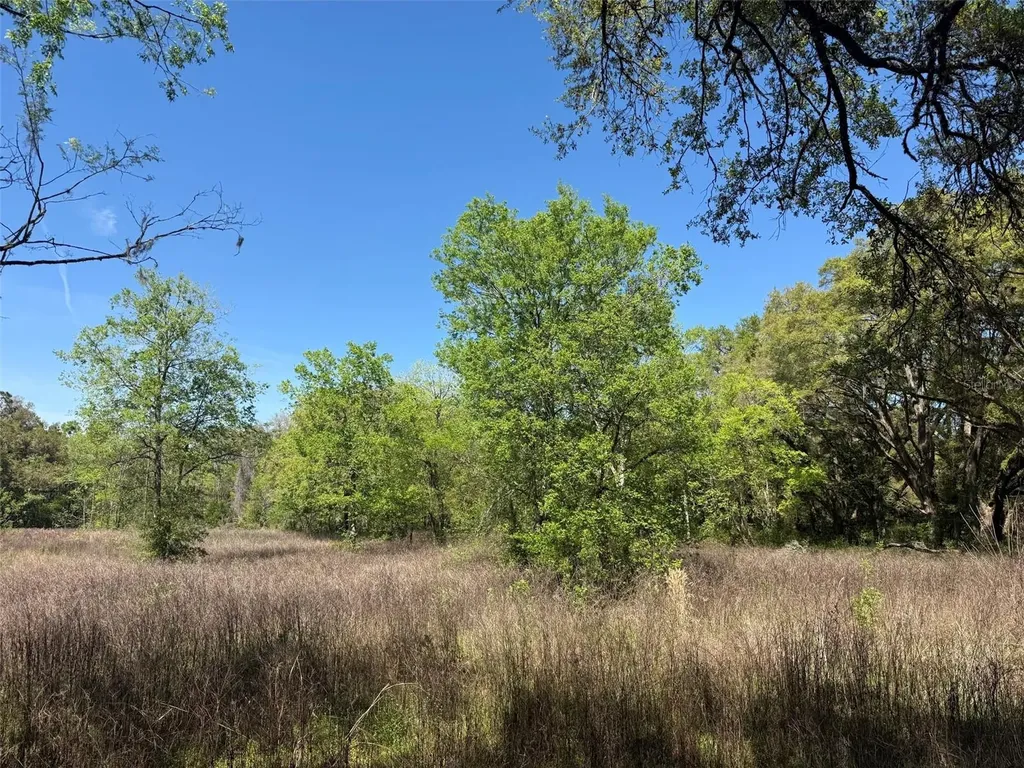 650 NE 200th Avenue Williston FL 32696