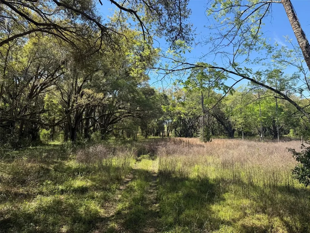 650 NE 200th Avenue Williston FL 32696