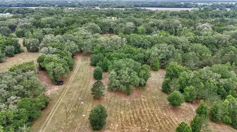 650 NE 200th Avenue Williston FL 32696