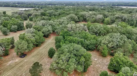 650 NE 200th Avenue Williston FL 32696