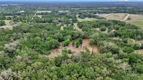 650 NE 200th Avenue Williston FL 32696