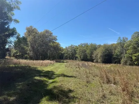 650 NE 200th Avenue Williston FL 32696
