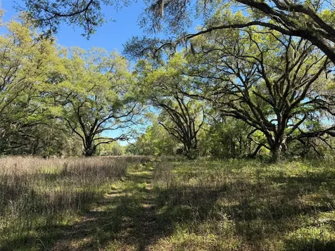650 NE 200th Avenue Williston FL 32696