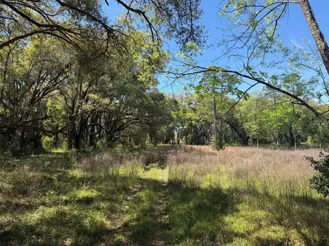 650 NE 200th Avenue Williston FL 32696