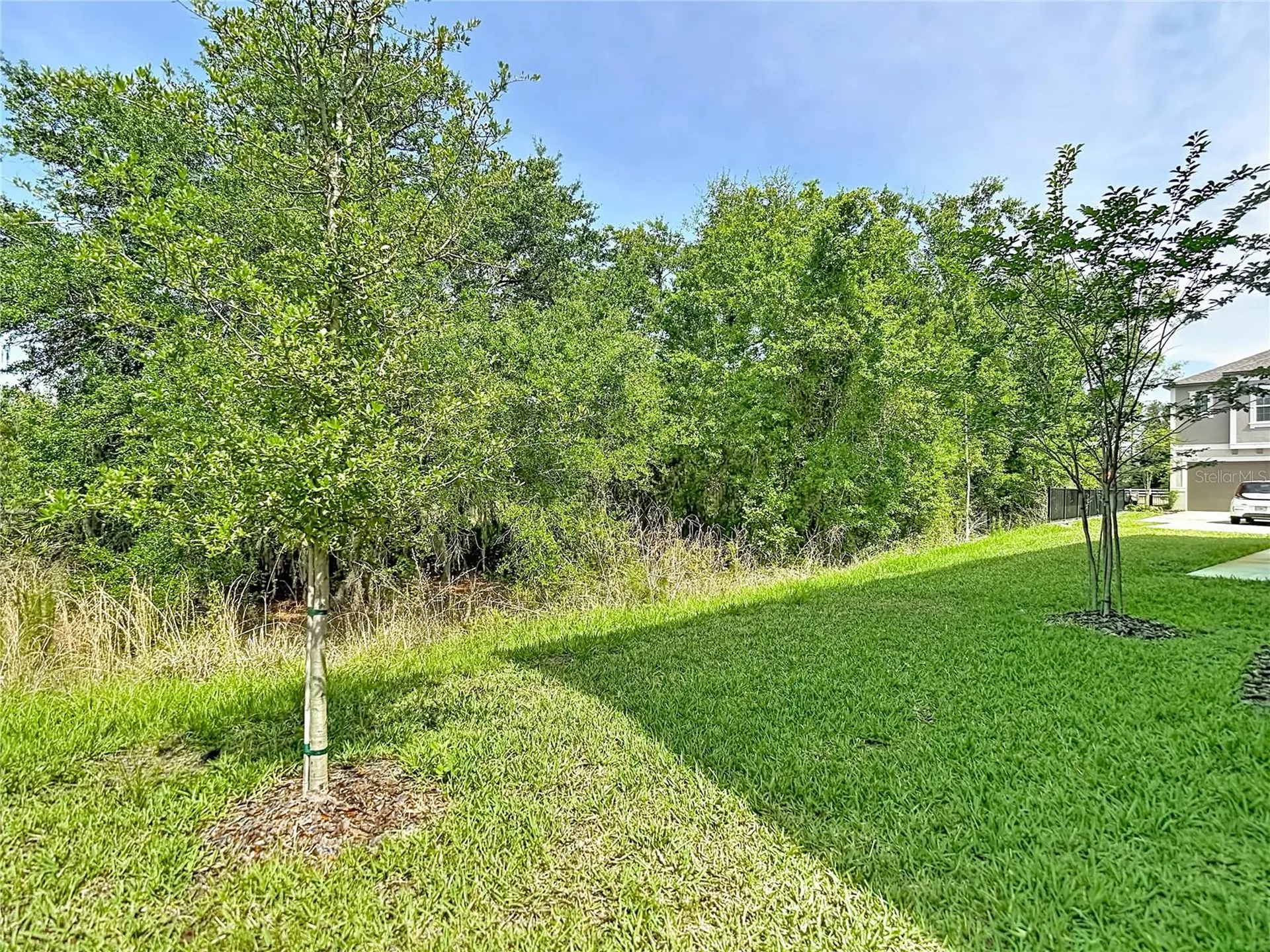 10801 Fort White Court Tampa FL 33647