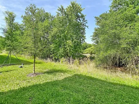 10801 Fort White Court Tampa FL 33647