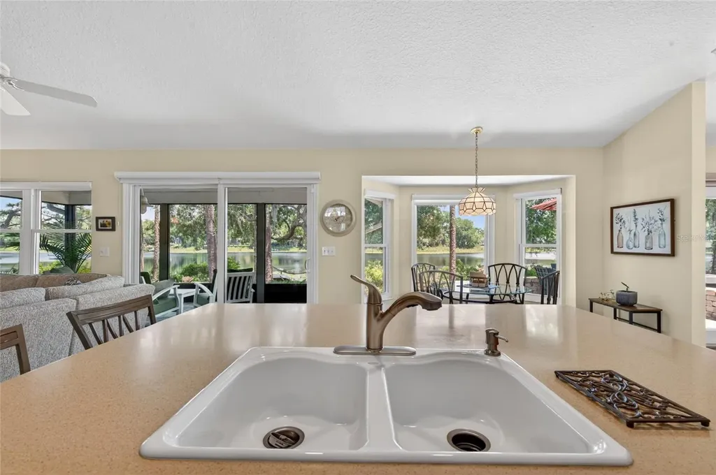 8243 Riviera Shore Court Orlando FL 32817