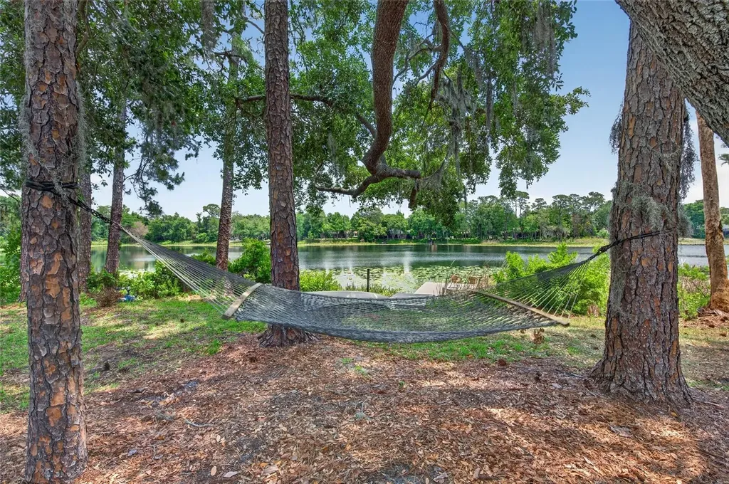 8243 Riviera Shore Court Orlando FL 32817