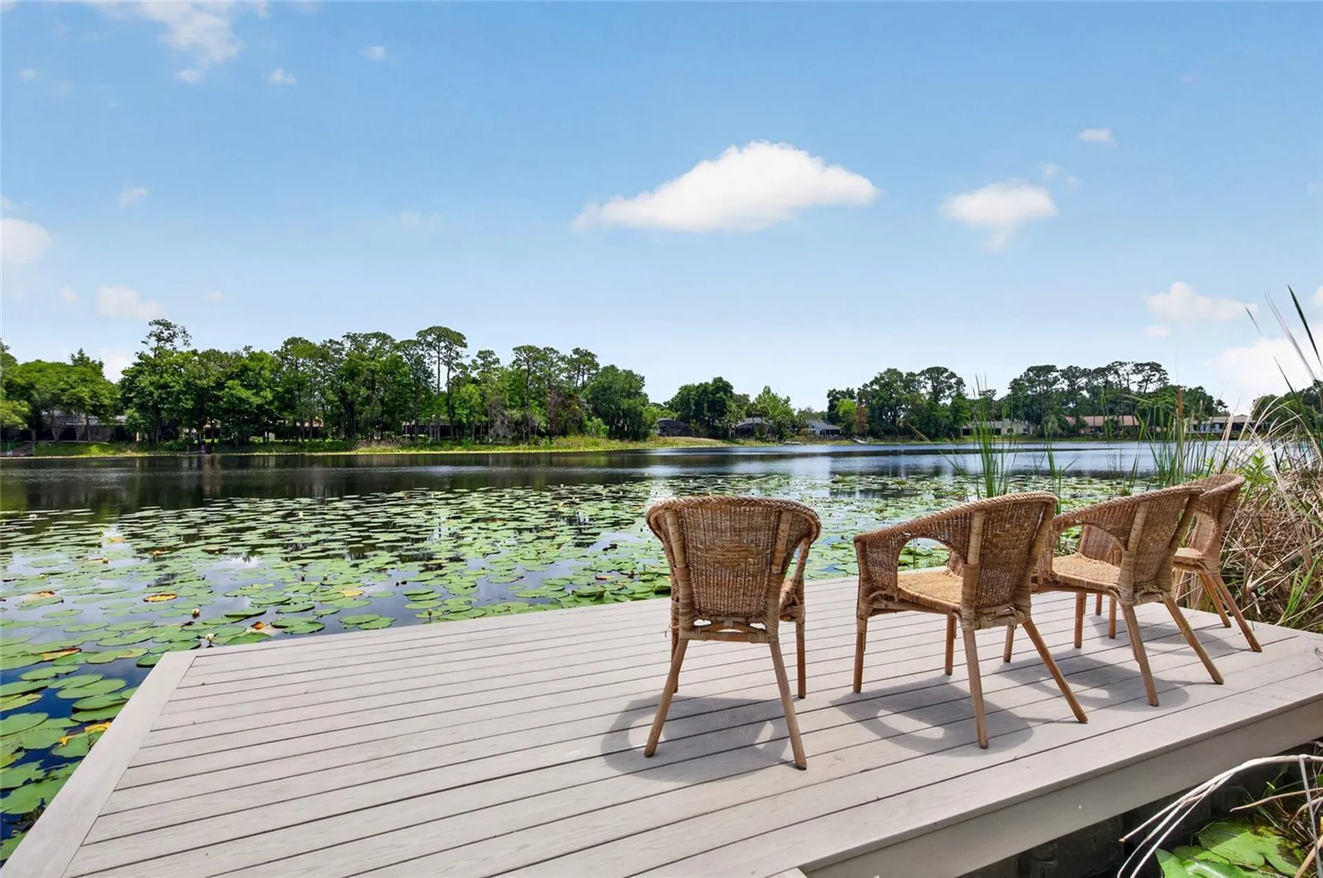 8243 Riviera Shore Court Orlando FL 32817