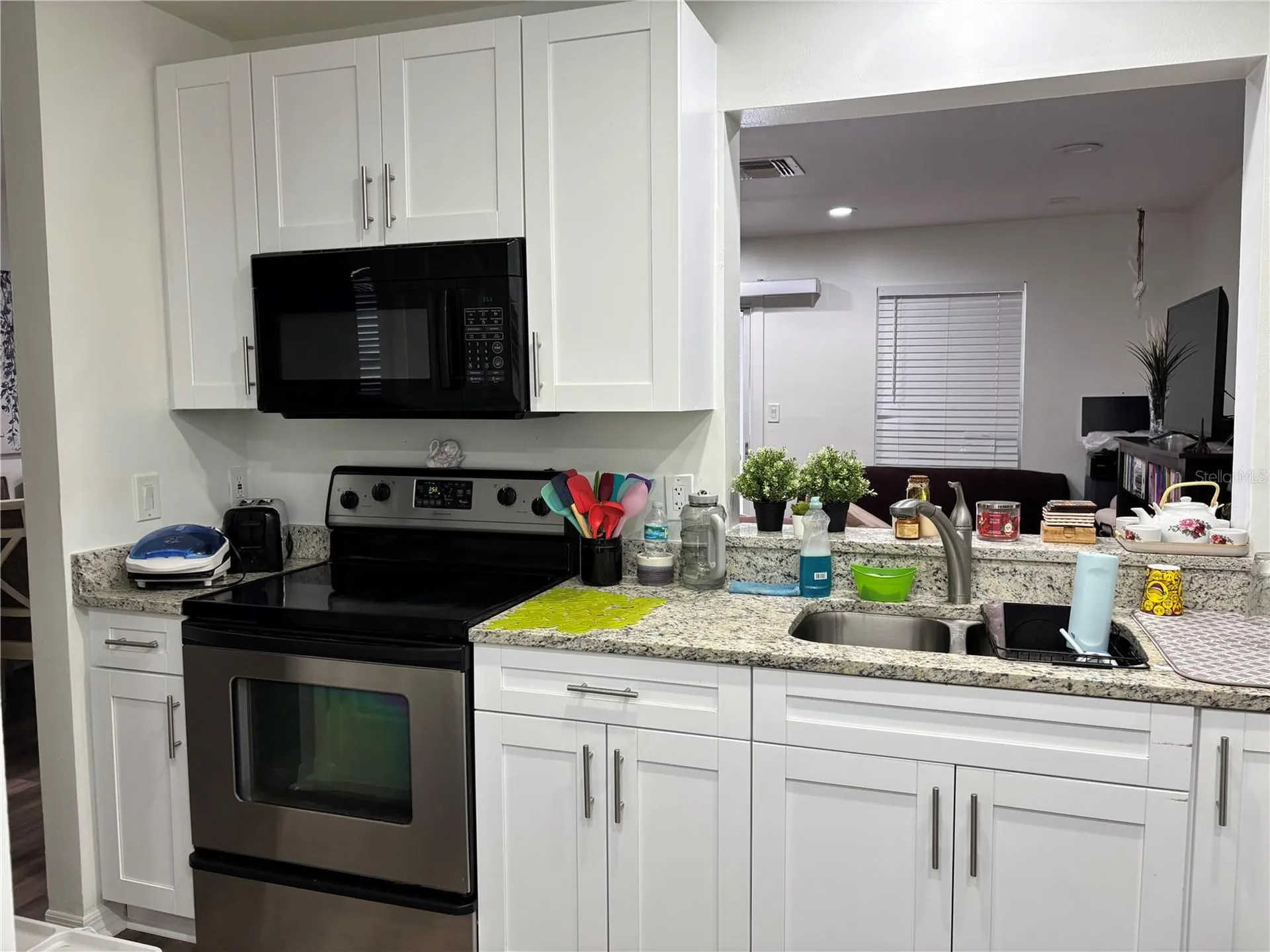 11116 Alderly Orlando FL 32837
