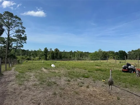 807 Campbell Lane De Leon Springs FL 32130