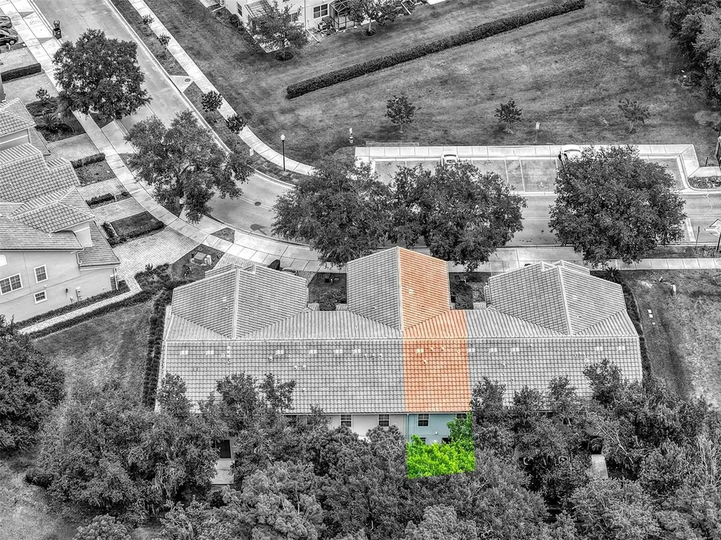 438 Reed Grass Drive Oviedo FL 32765