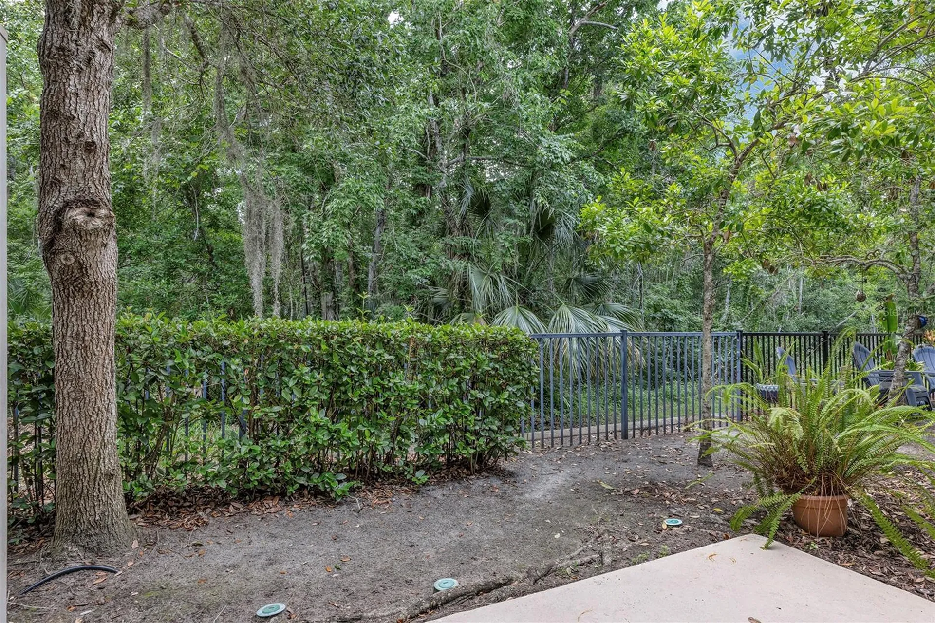 438 Reed Grass Drive Oviedo FL 32765
