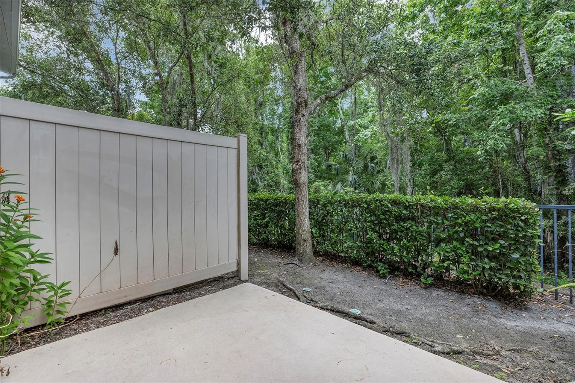 438 Reed Grass Drive Oviedo FL 32765