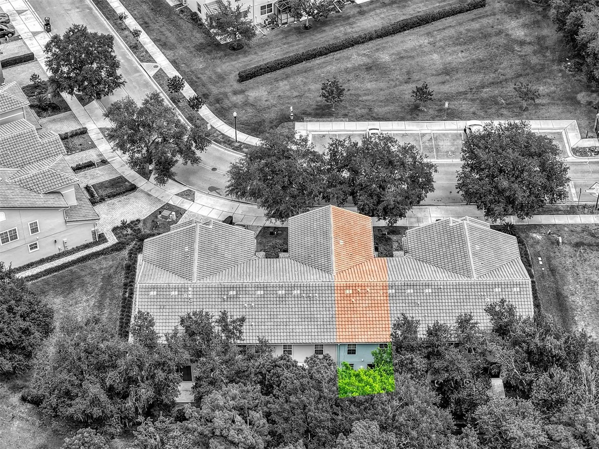 438 Reed Grass Drive Oviedo FL 32765