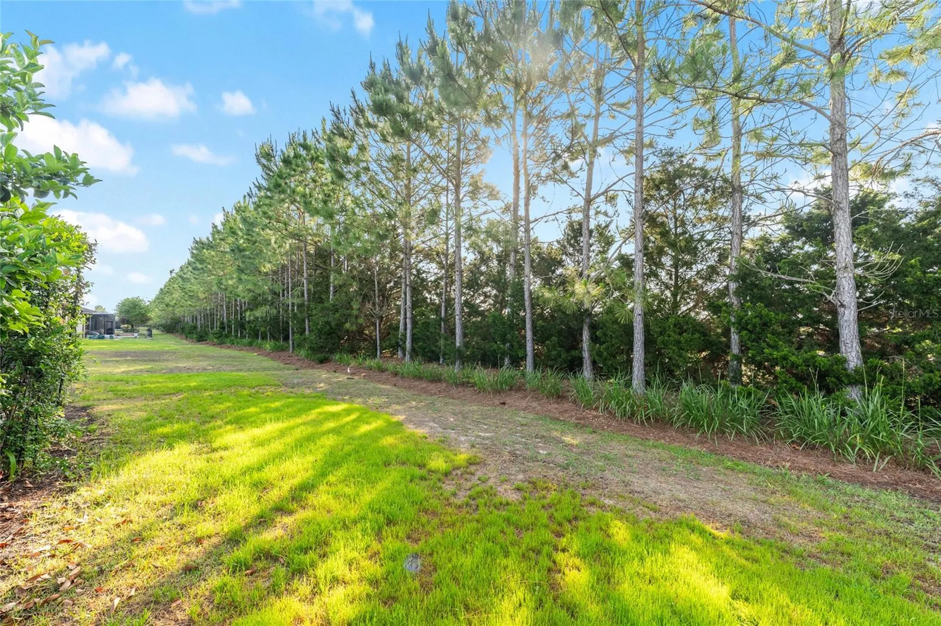 9221 SW 70th Loop Ocala FL 34481