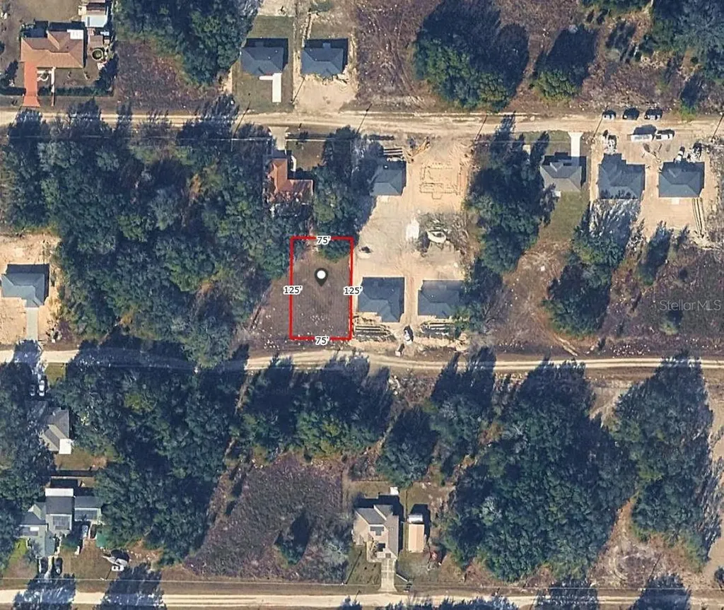 SW 113th Place Dunnellon FL 34432