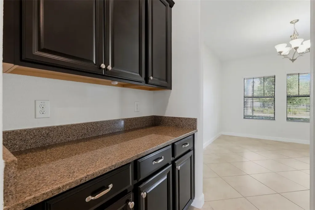19419 Paddock View Drive Tampa FL 33647
