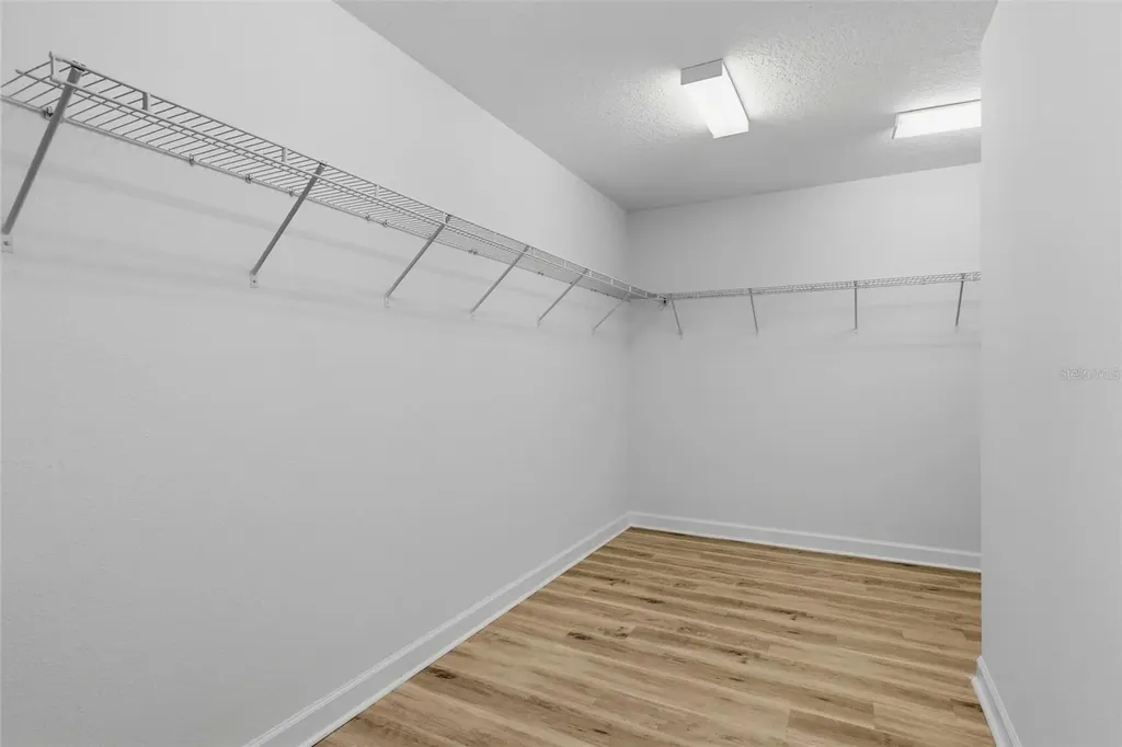 19419 Paddock View Drive Tampa FL 33647