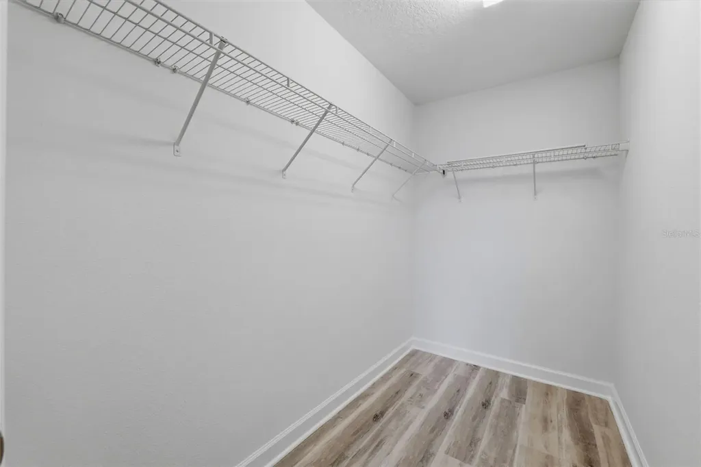 19419 Paddock View Drive Tampa FL 33647