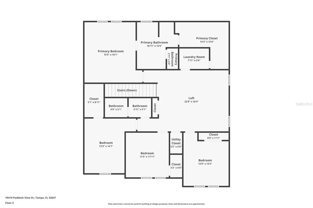 19419 Paddock View Drive Tampa FL 33647