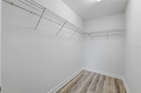 19419 Paddock View Drive Tampa FL 33647