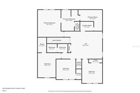 19419 Paddock View Drive Tampa FL 33647