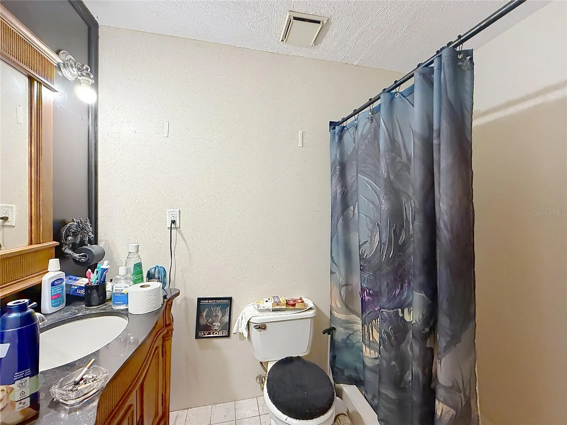 2548 Cr 422 Lake Panasoffkee FL 33538