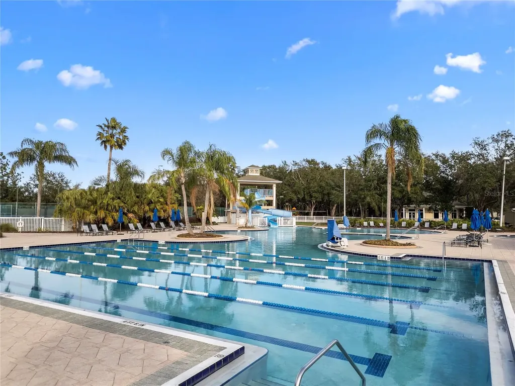 18117 Paradise Point Drive Tampa FL 33647