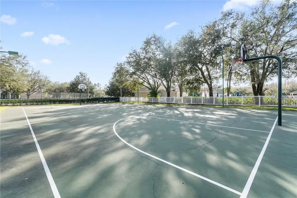 18117 Paradise Point Drive Tampa FL 33647