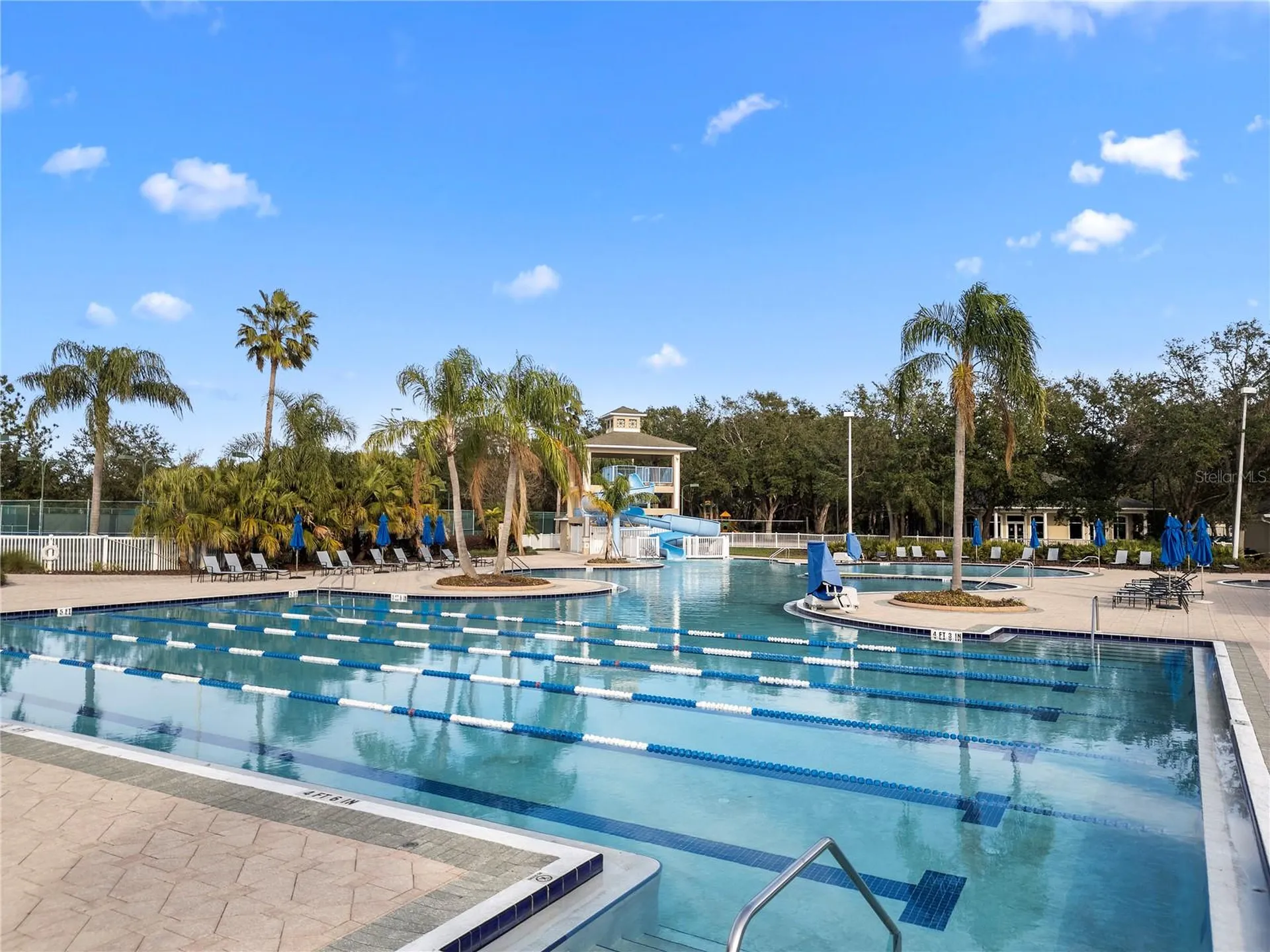18117 Paradise Point Drive Tampa FL 33647