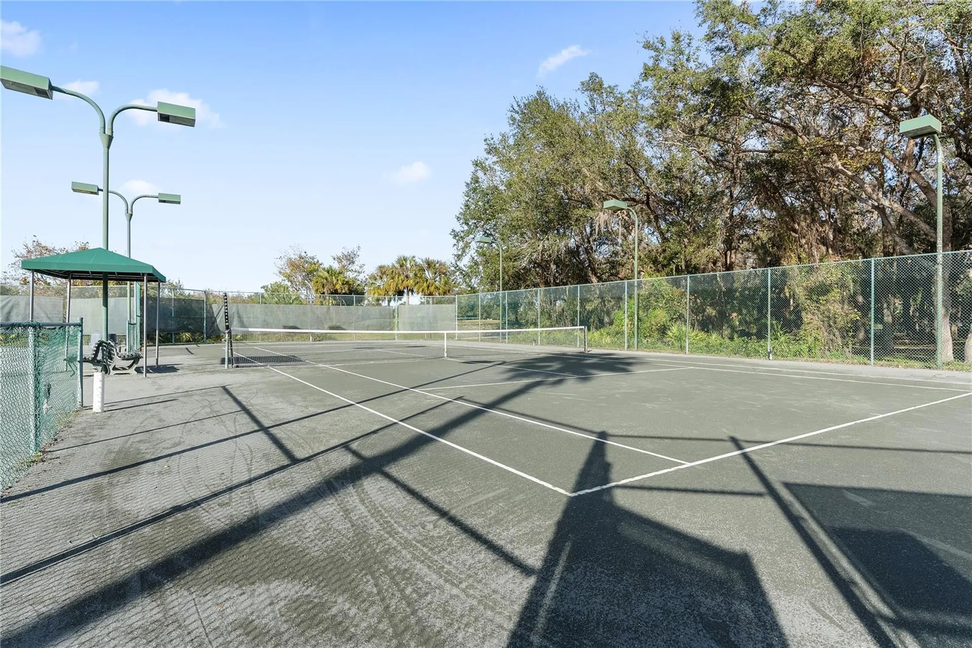 18117 Paradise Point Drive Tampa FL 33647