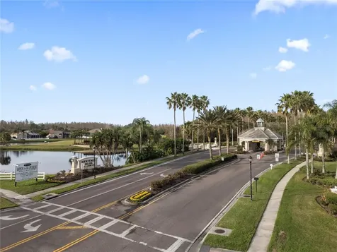 18117 Paradise Point Drive Tampa FL 33647