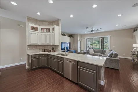 1035 Legends Pass Drive Valrico FL 33594
