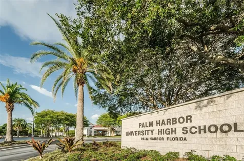 1231 Illinois Avenue Palm Harbor FL 34683