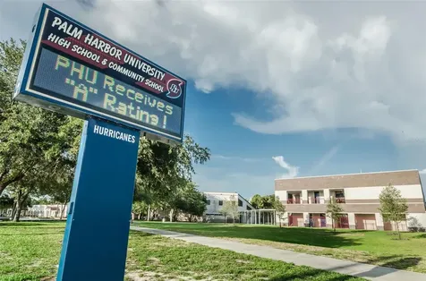 1231 Illinois Avenue Palm Harbor FL 34683