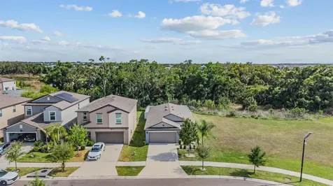 10331 Blue Plume Court Riverview FL 33578