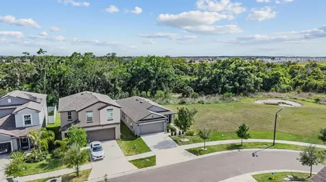 10331 Blue Plume Court Riverview FL 33578