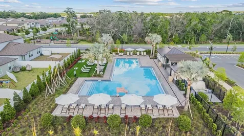 10331 Blue Plume Court Riverview FL 33578