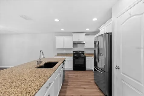 10602 Massimo Drive Wimauma FL 33598