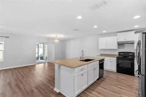 10602 Massimo Drive Wimauma FL 33598