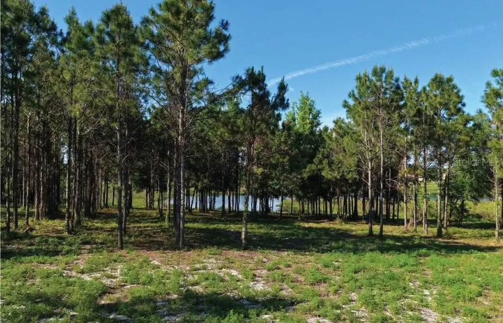 9717 Morton Jones Road Gotha FL 34734