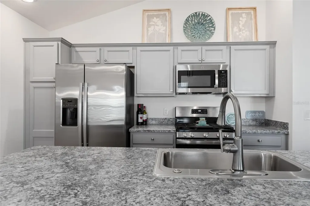 2909 Chimborazo Way The Villages FL 32163