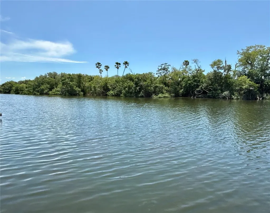 460 Mount Oak Avenue NE St Petersburg FL 33702