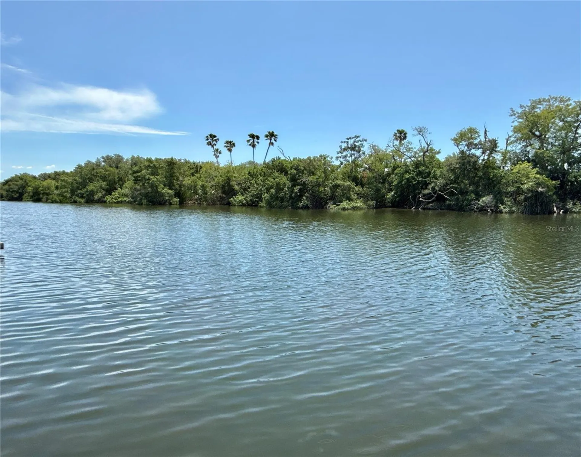 460 Mount Oak Avenue NE St Petersburg FL 33702